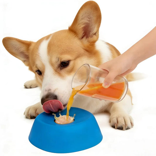 Slow Drinking Anti-Splash Dog Water Bowl
