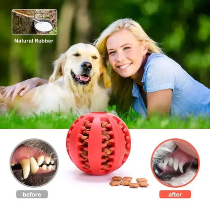 Interactive Treat Dispensing Dog Ball