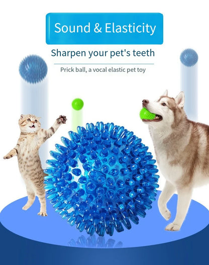Interactive Squeaky Dog Ball Toy