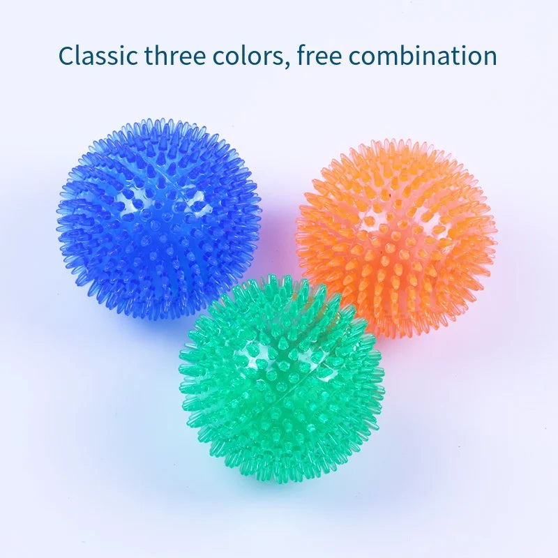 Interactive Squeaky Dog Ball Toy