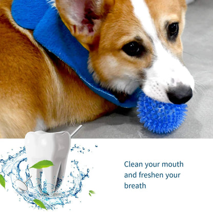 Interactive Squeaky Dog Ball Toy