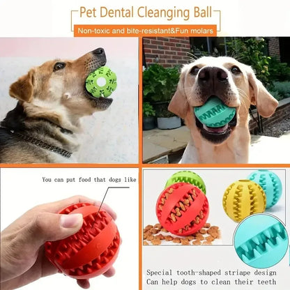 Interactive Treat Dispensing Dog Ball