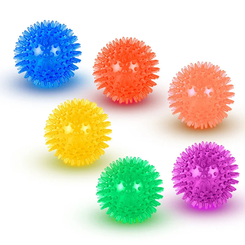 Interactive Squeaky Dog Ball Toy