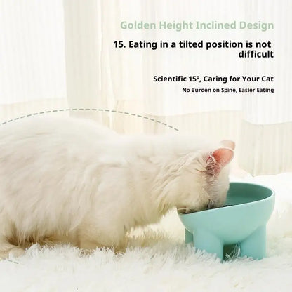 Elevated Tilted Cat Feeding Bowl