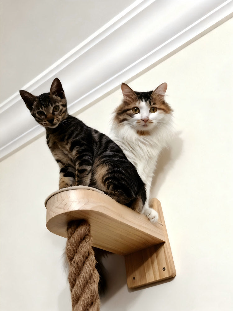 Solid Wood Cat Climbing Frame with Hemp Rope