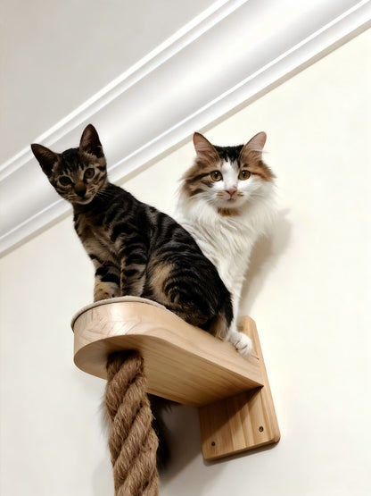 Solid Wood Cat Climbing Frame with Hemp Rope