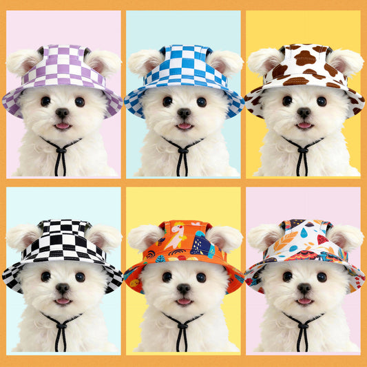 Cat Summer Sun Protection Hat