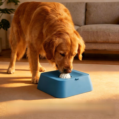 Pet Fun Licking Slow Feeding Bowl